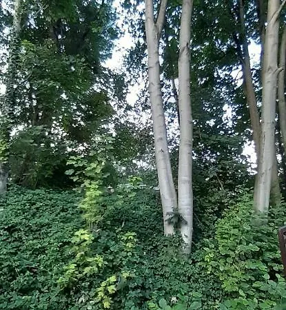 La P'tite Maison Casa vacanze *