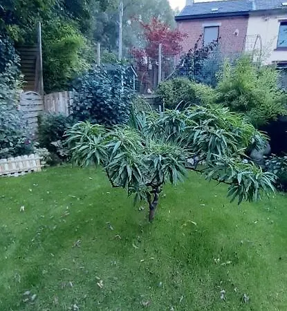 La P'tite Maison Charleroi
