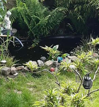 La P'tite Maison Hébergement de vacances