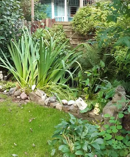 La P'tite Maison Charleroi