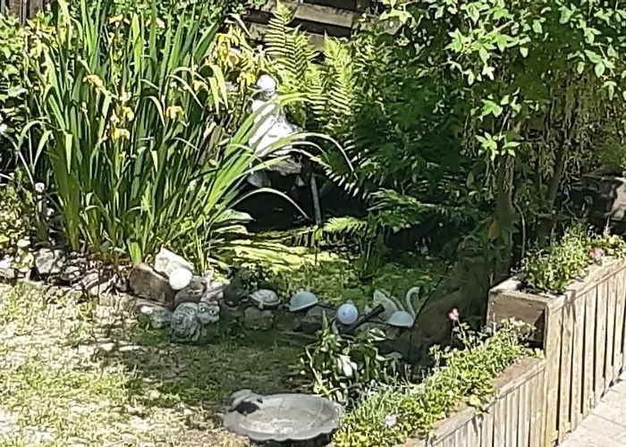 La P'tite Maison Vakantiehuis