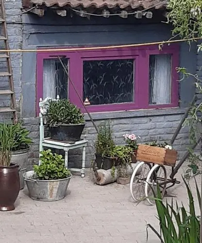 La P'tite Maison Vakantiehuis